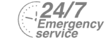 24/7 Emergency Service Pest Control in Highbury, N5. Call Now! 020 8166 9746